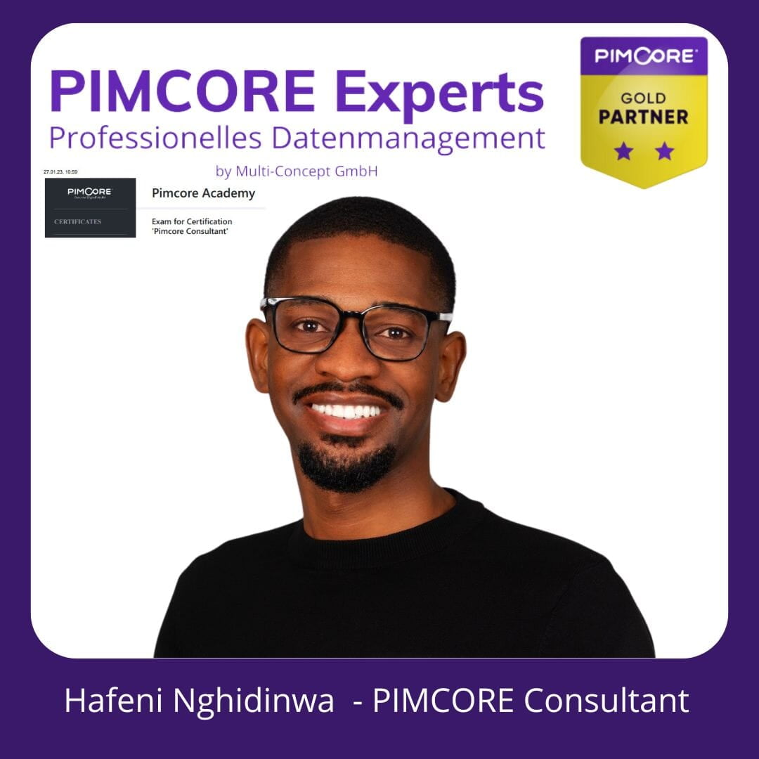 Hafeni Nghidinwa, PIMCORE Consultant