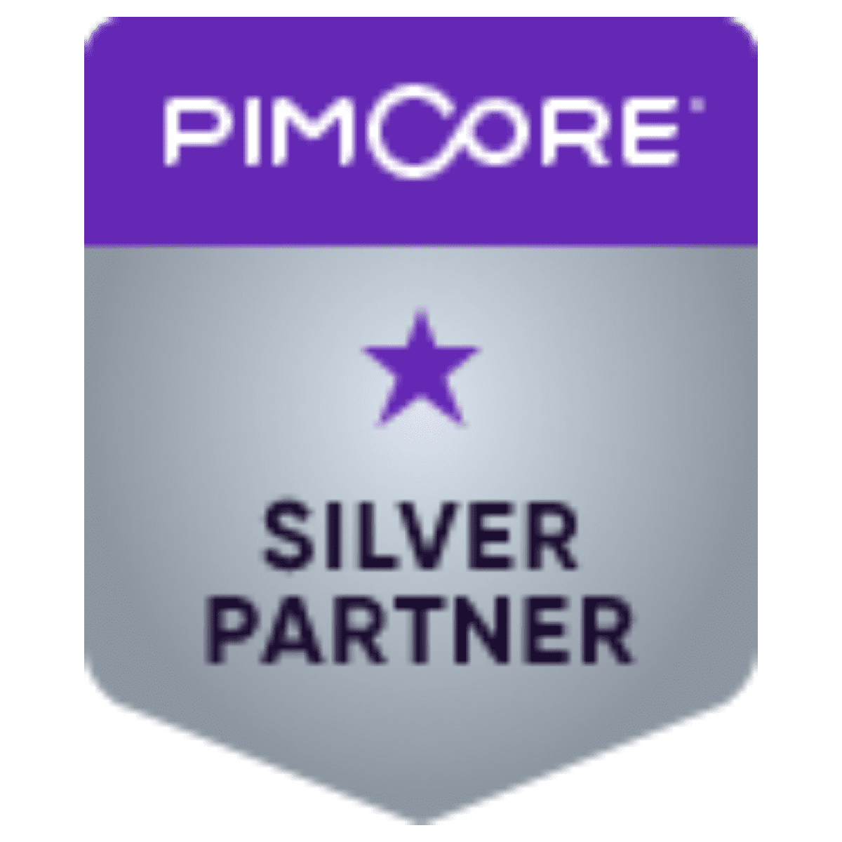 Pimcore Silver Partner Logo